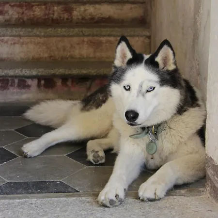 Bed & Breakfast Casa