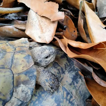 Bed & Breakfast Casa Valduggia